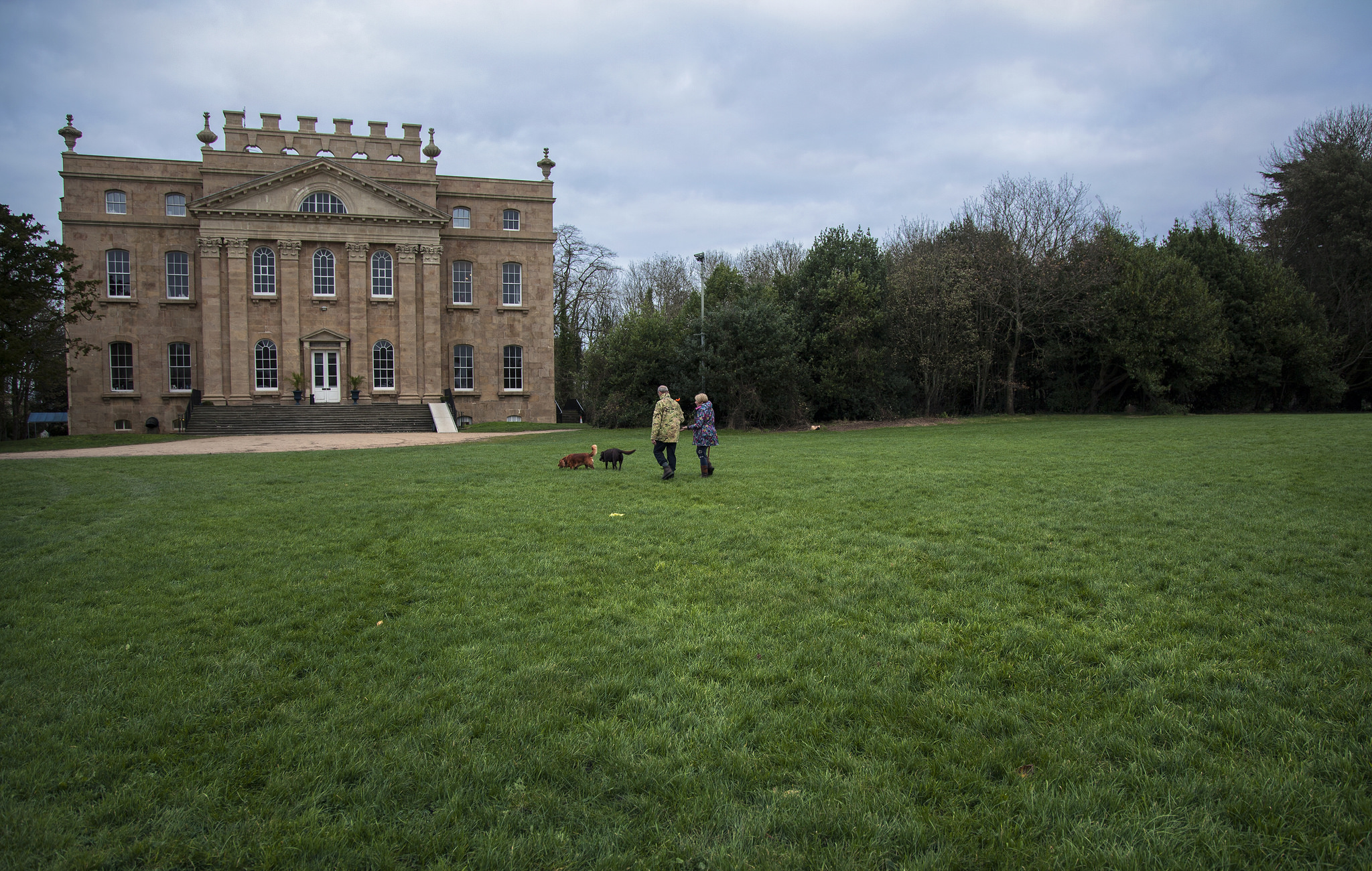 Dog walking at Kings Weston House