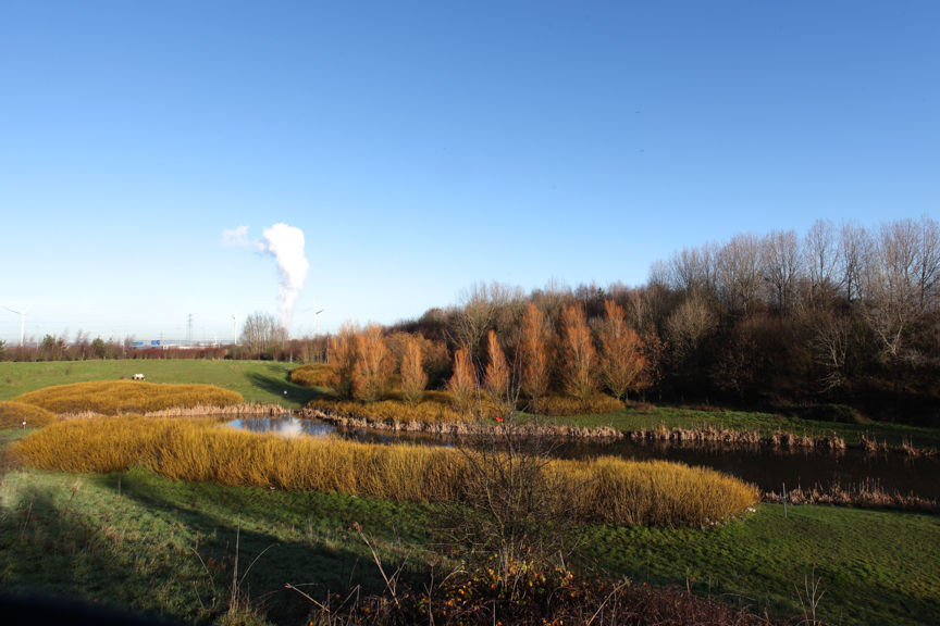 View of Avonmouth