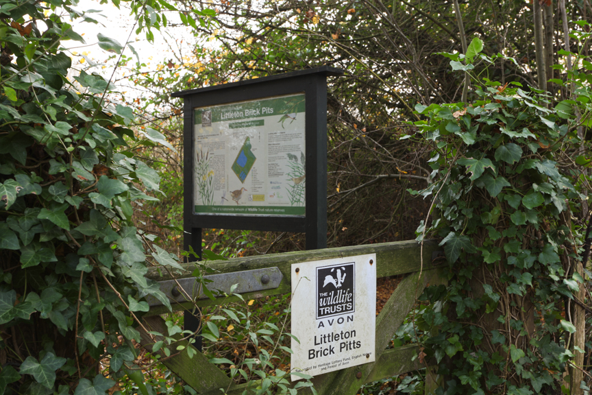 Birdwatching at Littleton Brick Pits